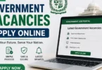 new government vacancies apply online